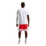 Nike - Men's Dri-Fit Basketball Shorts (IF1593 657)