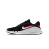 Nike - Men's Flex Train Shoes (HV9972 004)