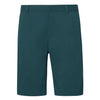 Oakley - Men's Performance Terrain Shorts (FOA401923 6LA)