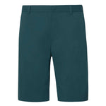 Oakley - Men's Performance Terrain Shorts (FOA401923 6LA)