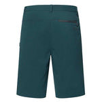 Oakley - Men's Performance Terrain Shorts (FOA401923 6LA)