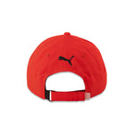 Puma - Cresting Adjustable Golf Cap (022693 05)