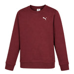 Puma - Kids' (Junior) Class Pack Fleece Crewneck Sweater (PFA25V9P-18837 662)