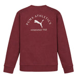 Puma - Kids' (Junior) Class Pack Fleece Crewneck Sweater (PFA25V9P-18837 662)