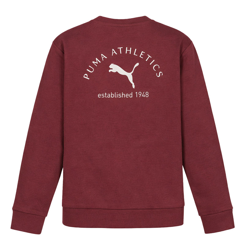 Puma - Kids' (Junior) Class Pack Fleece Crewneck Sweater (PFA25V9P-18837 662)