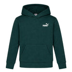 Puma - Kids' (Junior) Essential Basics Poly Fleece Hoodie (PSP25V9P-16739 347)