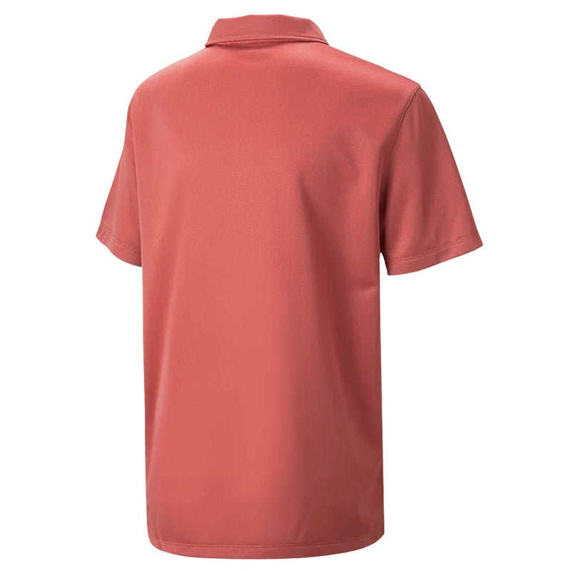 Puma - Kids' (Junior) Essential Polo (578133 27)