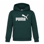 Puma - Kids' (Junior) Foundation No.1 Logo Fleece Hoodie (PSP24V9P-08659 347)