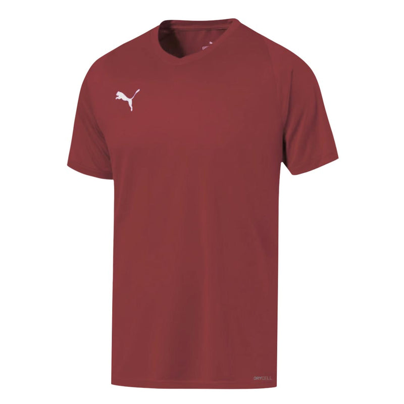 Puma - Kids' (Junior) Liga Core Jersey (703542 09)