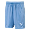 Puma - Kids’ (Junior) Liga Core Shorts (703437 18)