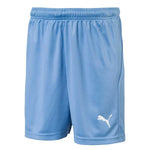 Puma - Kids’ (Junior) Liga Core Shorts (703437 18)
