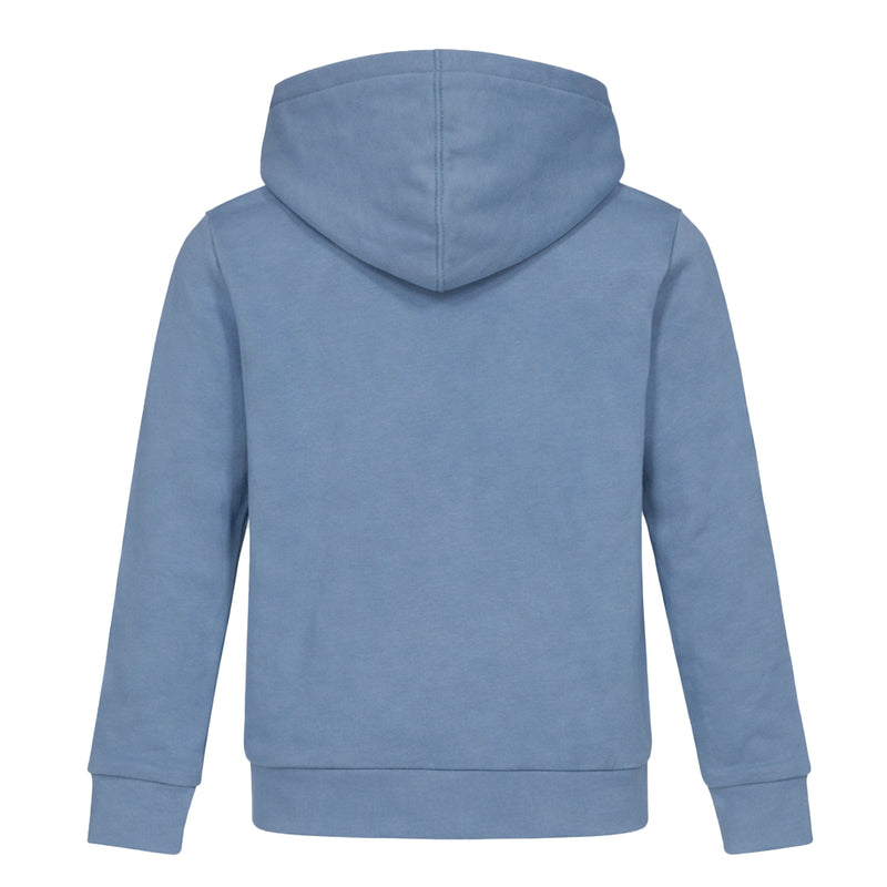 Puma - Kids' (Junior) Tech Fleece Hoodie (PFA25V9P-18987 443)