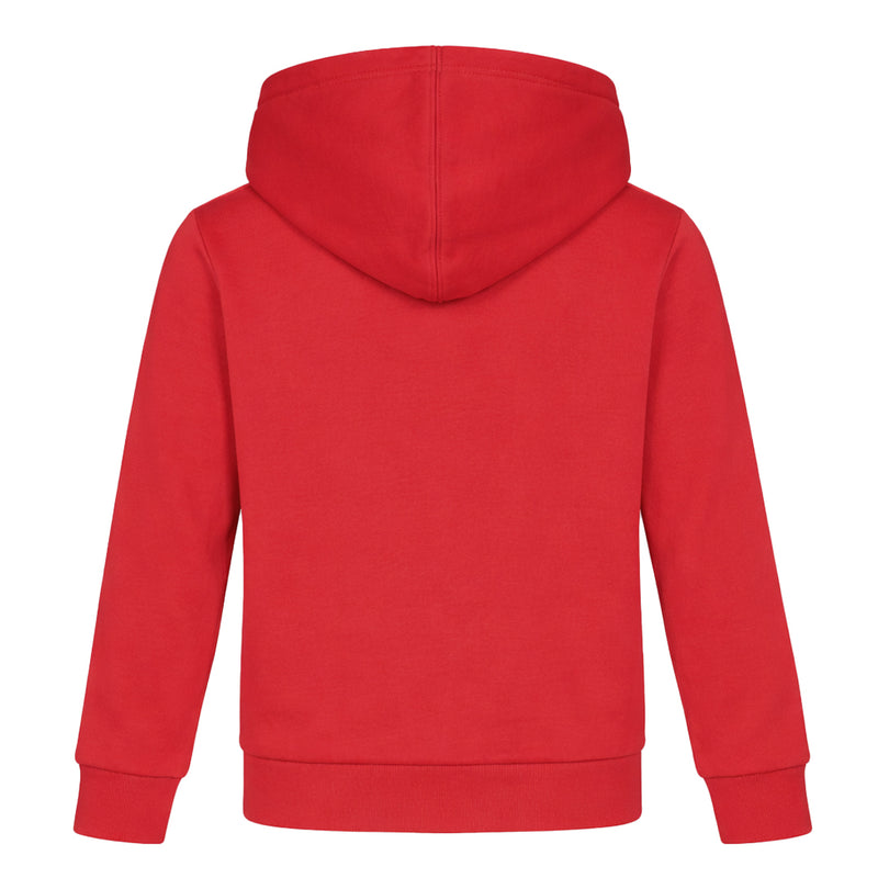 Puma - Kids' (Junior) Tech Fleece Hoodie (PFA25V9P-18987 610)