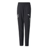 Puma - Kids' (Youth) Neymar Jr Copa Training Pant (605620 01)