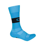 Puma - Kids' (Junior) Procat Performance 2 Pack Soccer Socks (P11659 421)