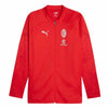 Puma - Men's AC Milan Training Jacket (772252 12)