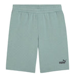 Puma - Men's Essentials No. 1 Logo Shorts (682595 30)