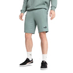 Puma - Men's Essentials No. 1 Logo Shorts (682595 30)