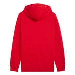 Puma - Men's Essentials Small Logo Hoodie (682574 11)