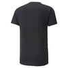 Puma - Men's Evostripe T-Shirt (849913 01)