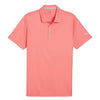 Puma - Men's Gamer Golf Polo (599120 47)