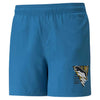 Puma - Men's Graphic Woven Shorts (848577 48)