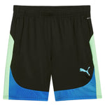 Puma - Men's IndividualFinal Shorts (659584 02)