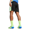Puma - Men's IndividualFinal Shorts (659584 02)