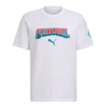 Puma - Men's FPF Portugal FtblCulture T-Shirt (784819 29)