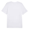 Puma - Men's Puma x Palm Tree Crew Island T-Shirt (623973 01)