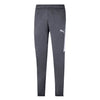 Puma - Men's Speed Update Pant (598368 69)