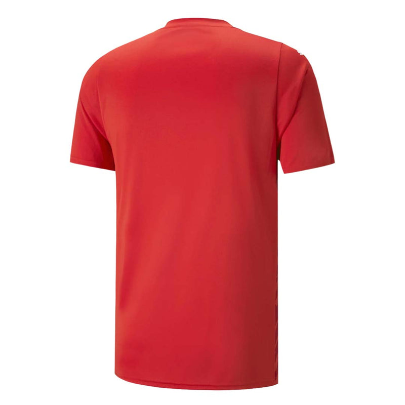Puma - Men's Team Ultimate Jersey (705371 01)