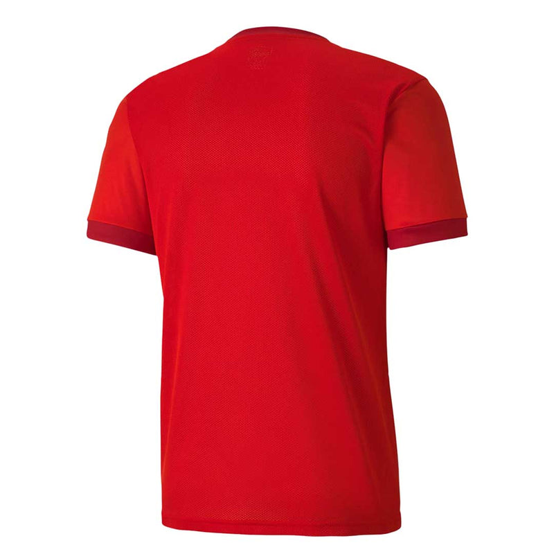 Puma - Men's Teamgoal 23 Jersey (704171 01)
