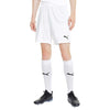 Puma - Men's Teamgoal 23 Knit Shorts (704262 04)