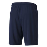 Puma - Men's Teamgoal 23 Knit Shorts (704262 06)