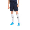 Puma - Men's Teamgoal 23 Knit Shorts (704262 06)