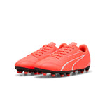 Puma - Men's Vitoria Firm/Artificial Ground Soccer Cleats (107483 11)