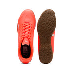 Puma - Men's Vitoria Indoor Training Soccer Shoes (107485 09)