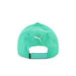 Puma - Puma x Palm Tree Crew Golf Cap (024645 03)