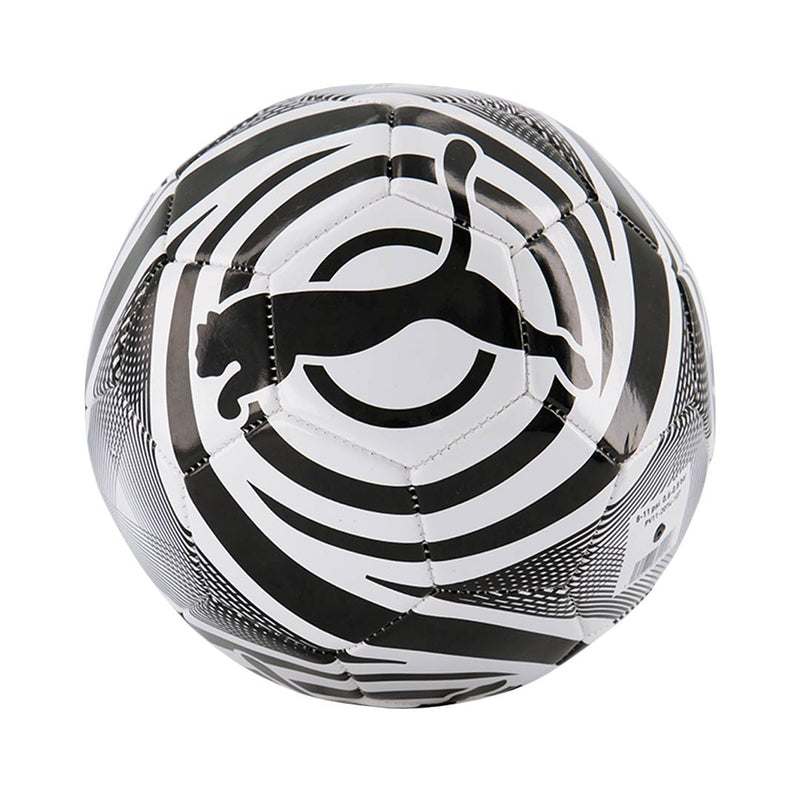 Puma - Ballon de football - Taille 5 (PV11-2074 107)