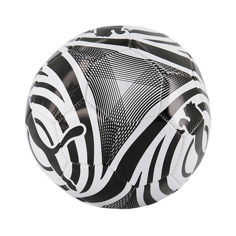 Puma - Ballon de football - Taille 5 (PV11-2074 107)