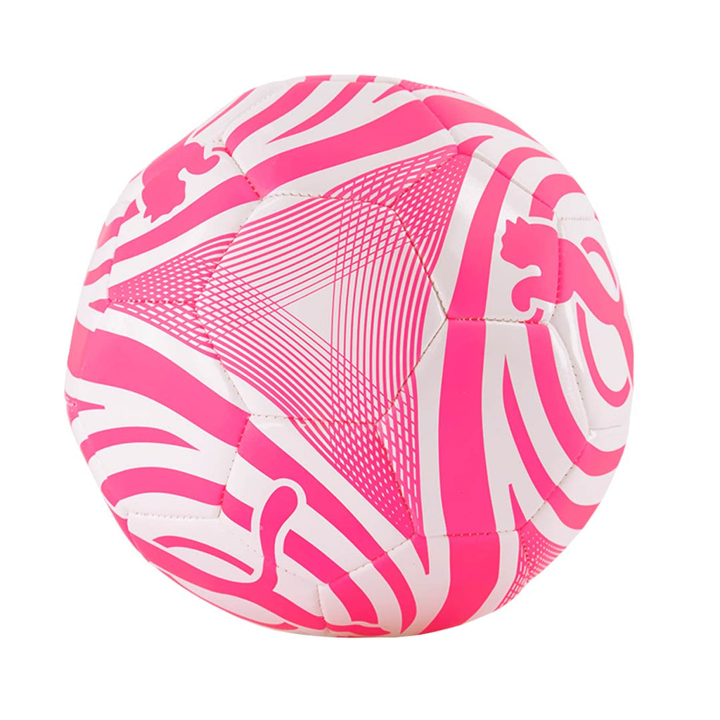 Puma - Soccer Ball - Size 5 (PV11-2074 680)