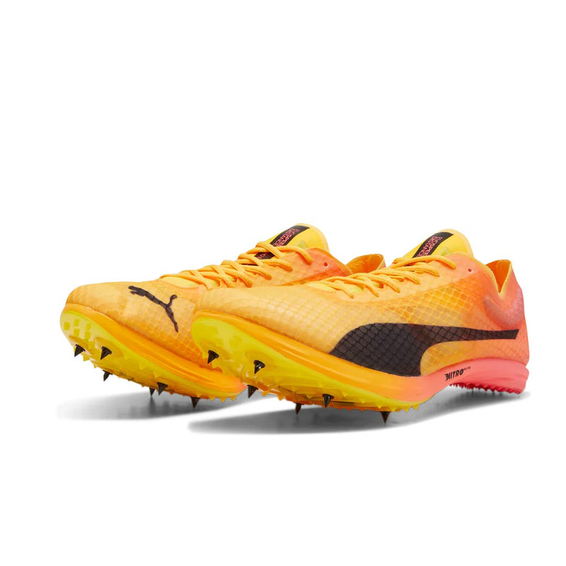 Puma - Unisex EvoSpeed Distance Nitro Elite+ 4 Track Shoes (380000 01)