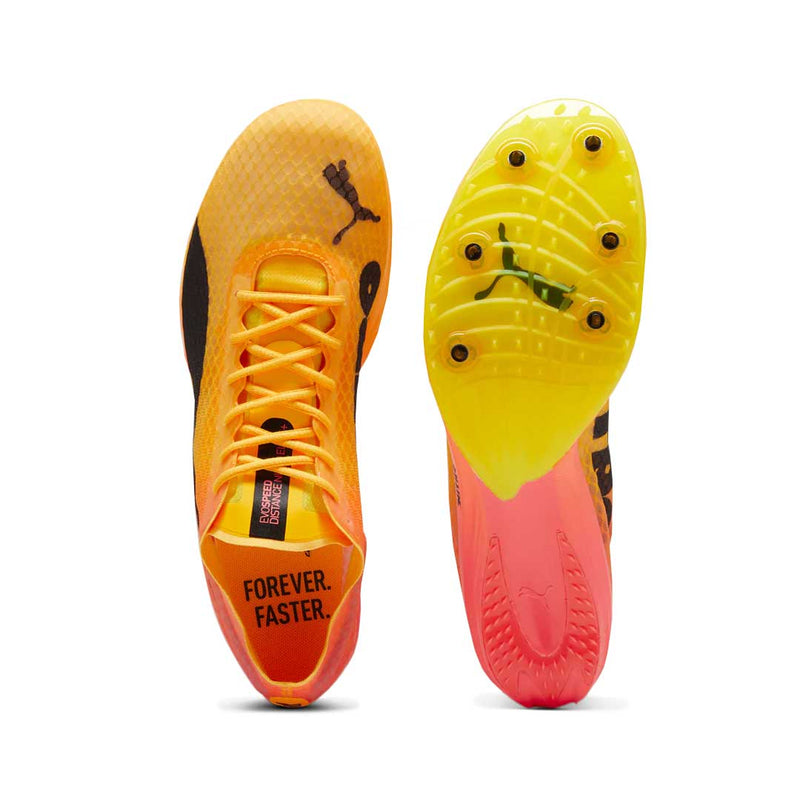 Puma - Unisex EvoSpeed Distance Nitro Elite+ 4 Track Shoes (380000 01)