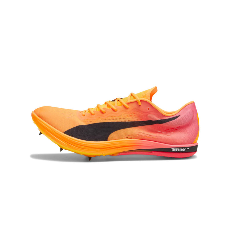 Puma - Unisex EvoSpeed Long Distance Nitro Elite 2 Track Shoes (379557 01)