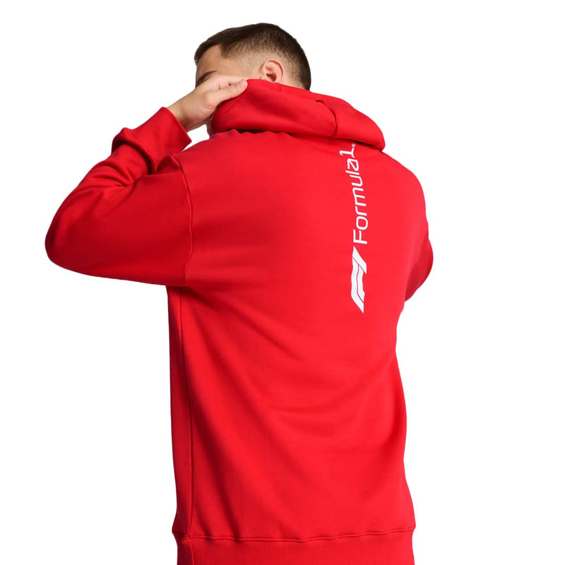 Puma - Men's F1 Ess+ Graphic Hoodie (630121 03)