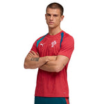 Puma - Men's FPF Portugal 2026 Training Jersey (784767 16)