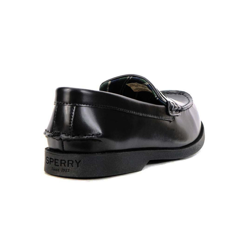 Sperry - Kids' (Preschool) Colton Plushwave Shoes (STK263477-M)
