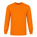 Unisex Heavy Cotton Long Sleeve T-Shirt (1304 95S)