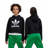 adidas - Girls' (Junior) Adicolor Cropped Hoodie (IJ9719)